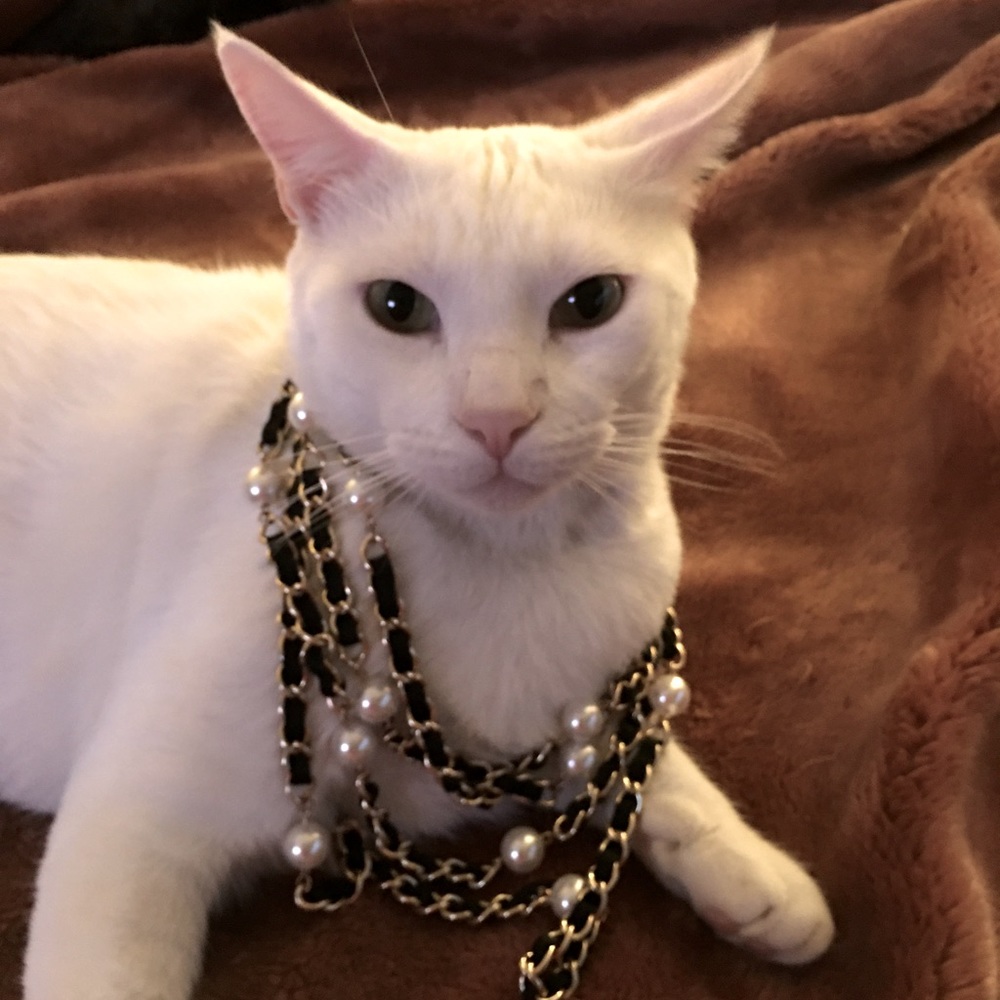 Meet your Posher, Martha